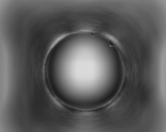 X0000086801423200704201854
