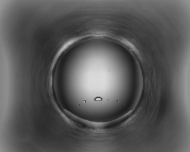 X0000086801424200704201854