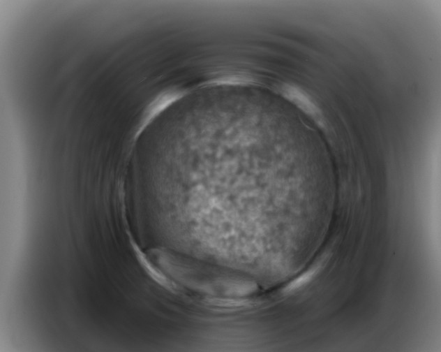 X0000086801425200704201854