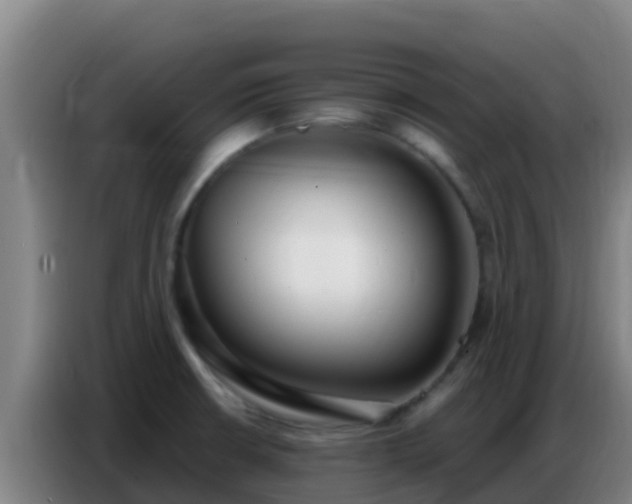 X0000086801426200704201854