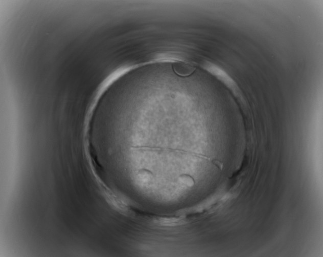 X0000086801427200704201854