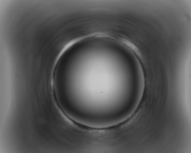 X0000086801428200704201854