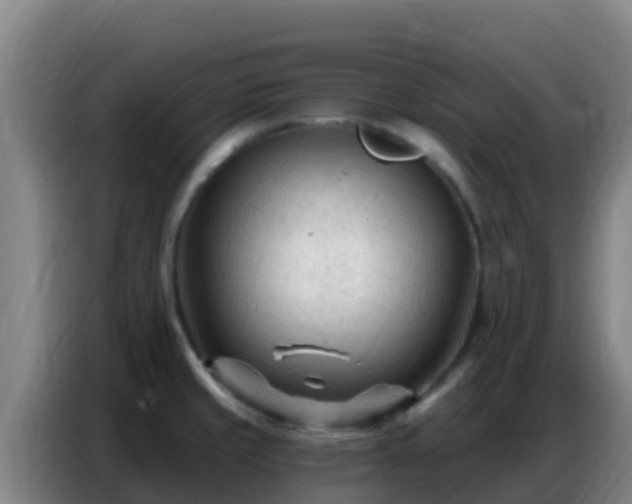 X0000086801429200704201854