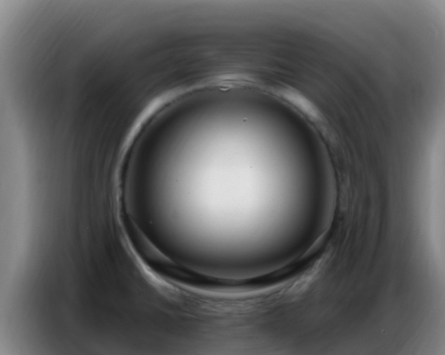 X0000086801430200704201854