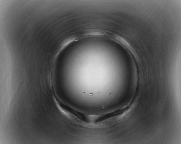 X0000086801433200704201854