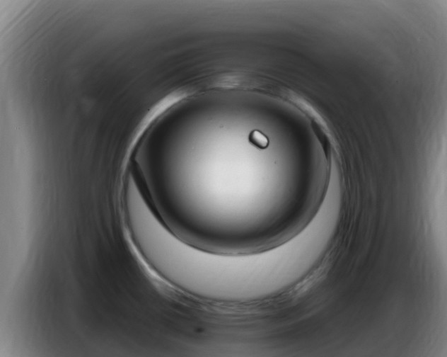X0000086801434200704201854
