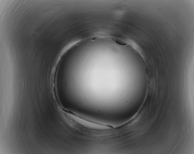 X0000086801435200704201854