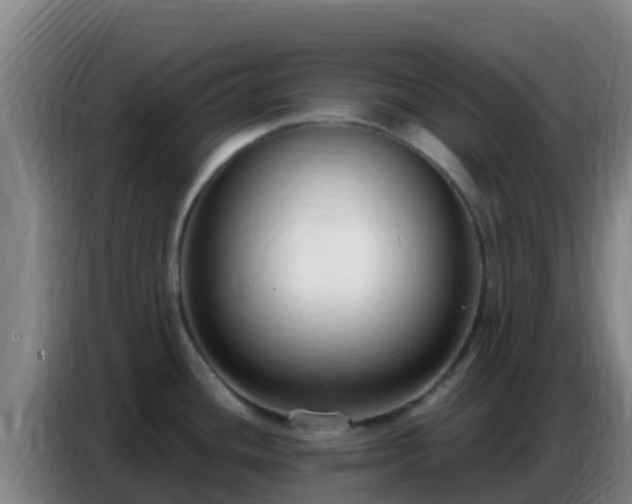 X0000086801436200704201854