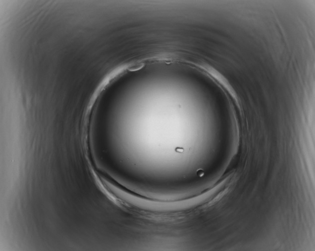 X0000086801437200704201855
