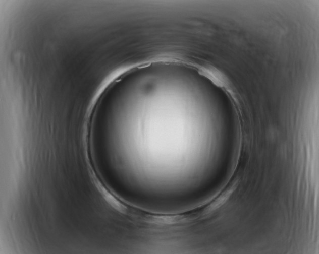 X0000086801438200704201855