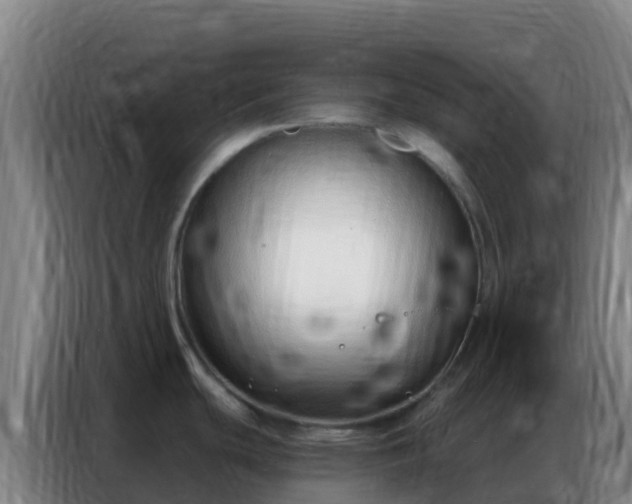 X0000086801439200704201855