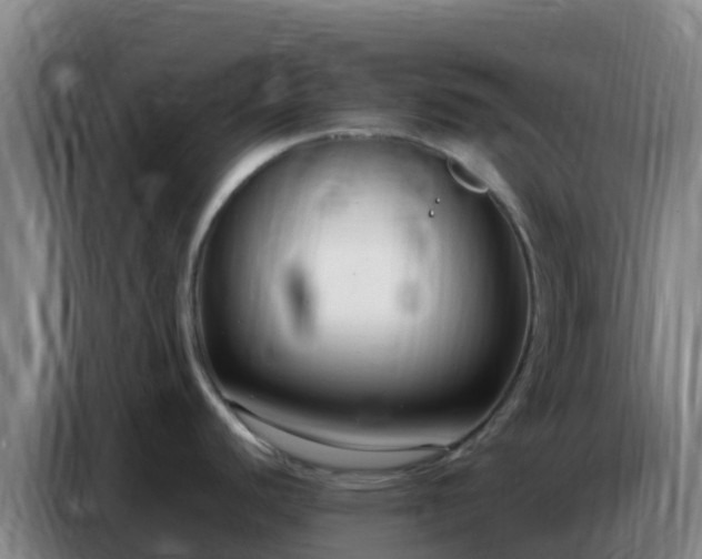 X0000086801440200704201855