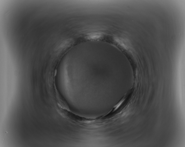 X0000086801441200704201854