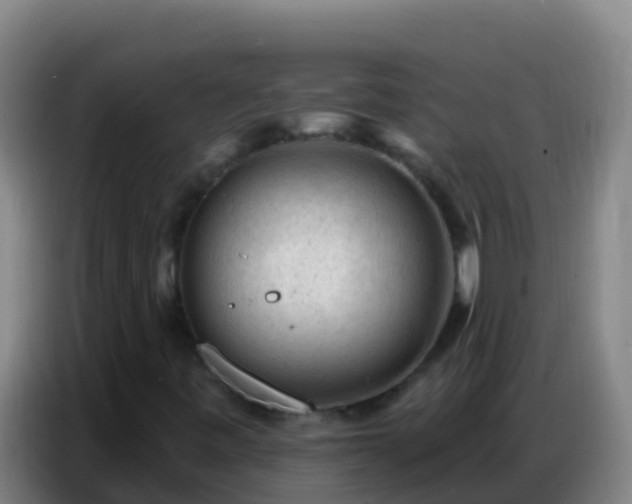 X0000086801443200704201854