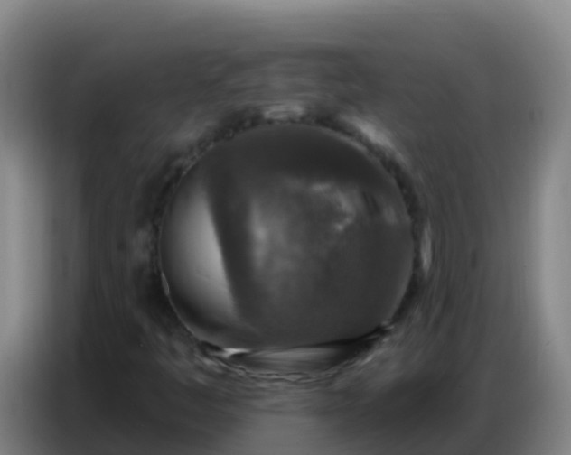 X0000086801445200704201854
