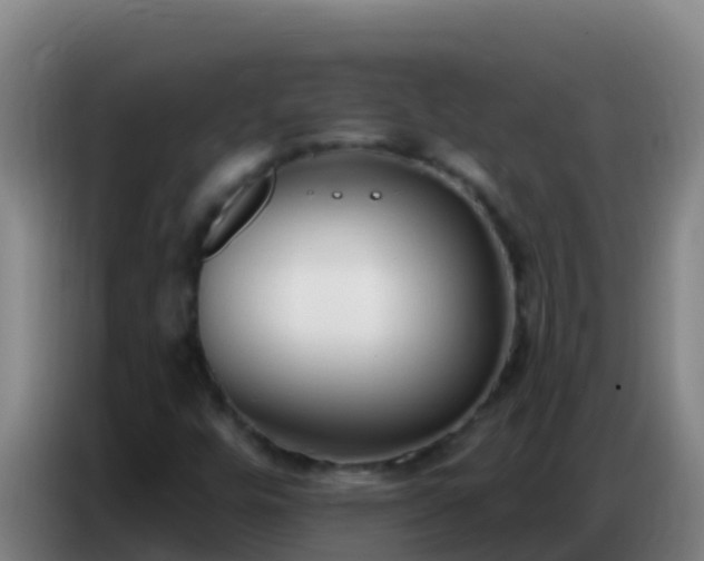 X0000086801448200704201854
