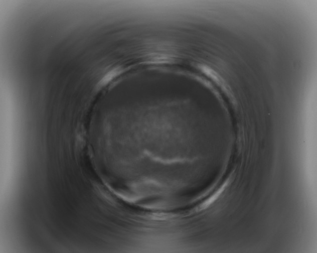 X0000086801449200704201854