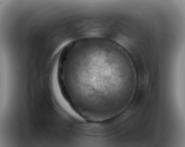 X0000086801450200704201854