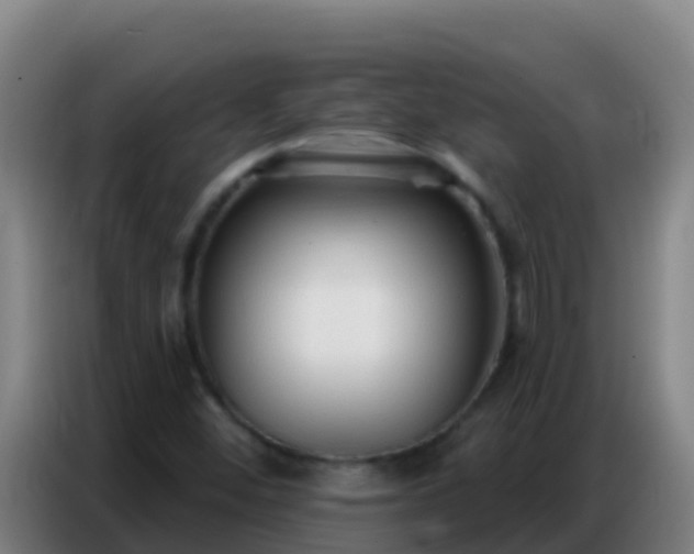 X0000086801452200704201854