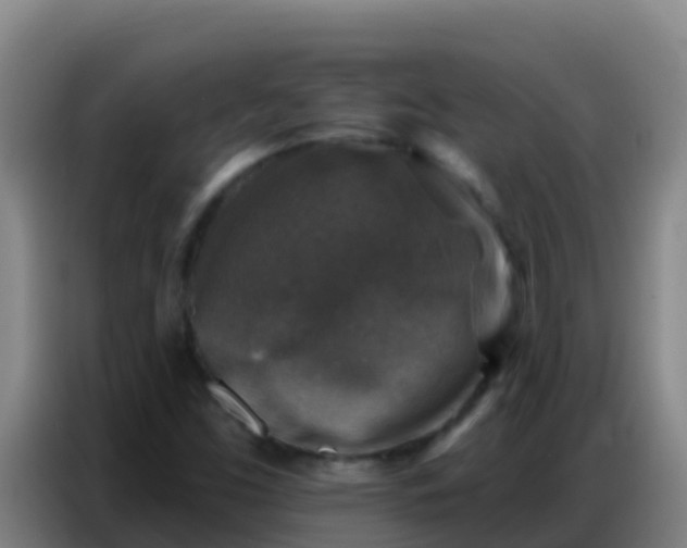 X0000086801453200704201854