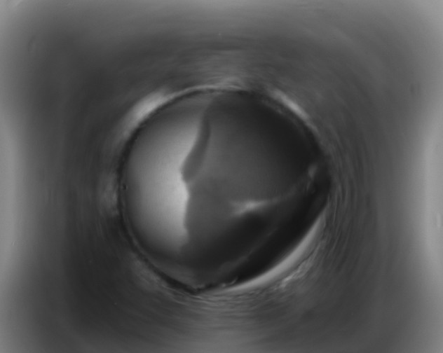 X0000086801455200704201854