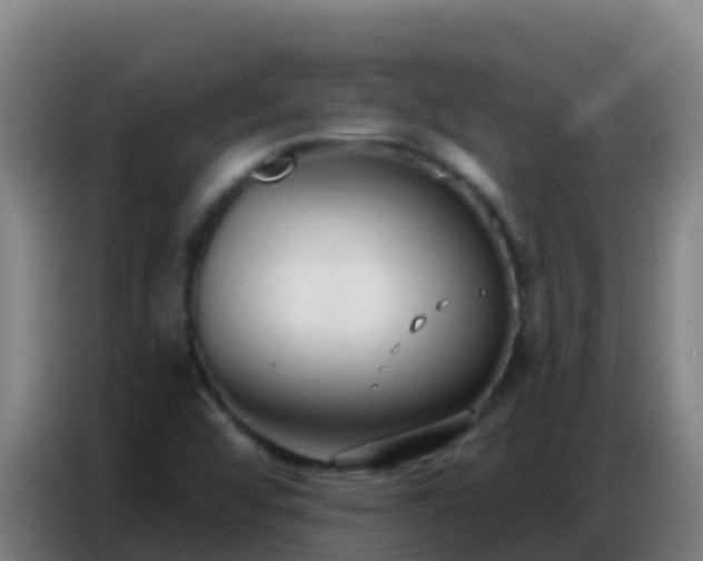 X0000086801456200704201854