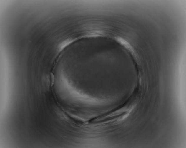 X0000086801457200704201854