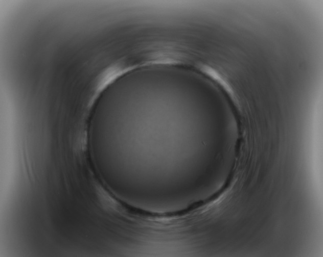 X0000086801459200704201854