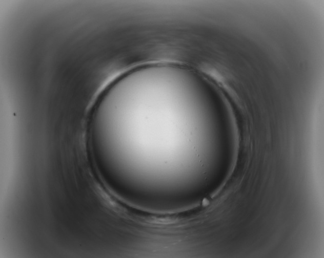 X0000086801460200704201854