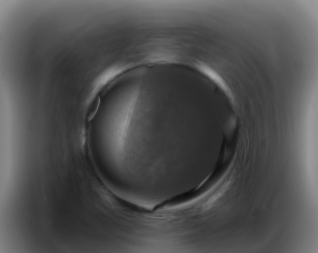 X0000086801461200704201854