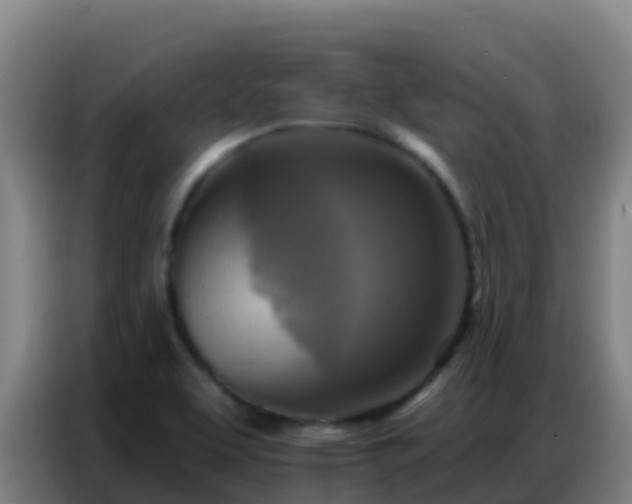 X0000086801463200704201854