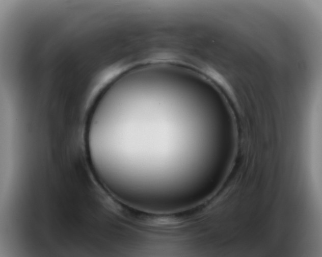 X0000086801464200704201854