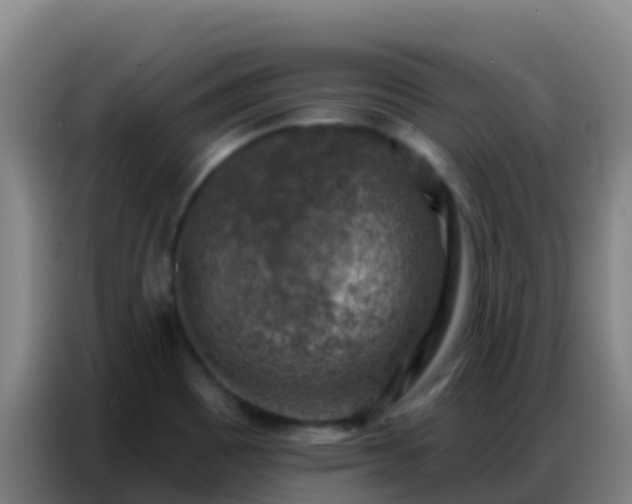 X0000086801465200704201854