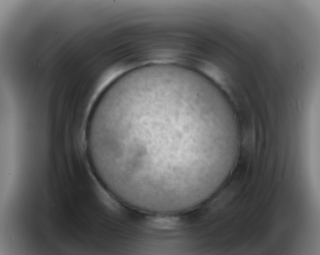 X0000086801466200704201854