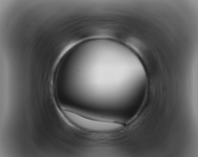 X0000086801468200704201854