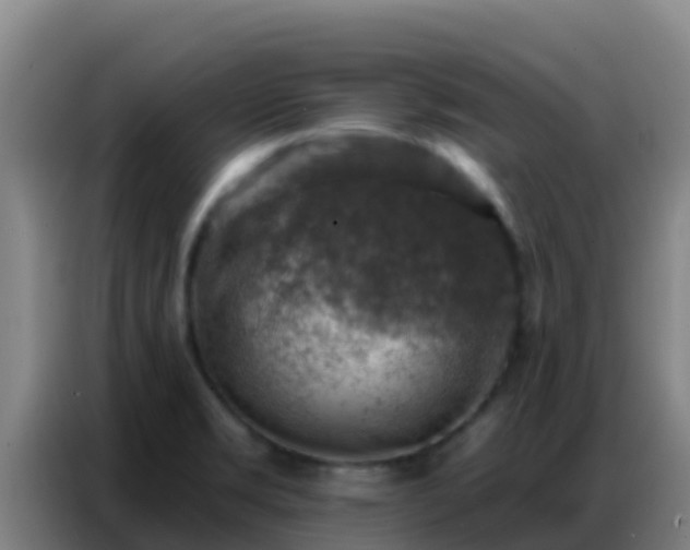 X0000086801469200704201854