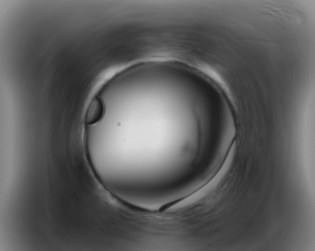 X0000086801472200704201854