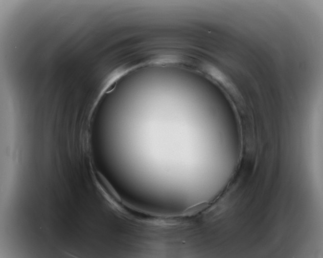 X0000086801473200704201854