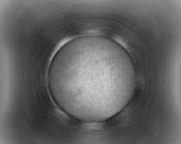 X0000086801474200704201854