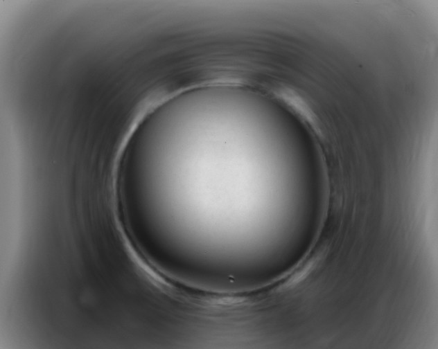 X0000086801475200704201854