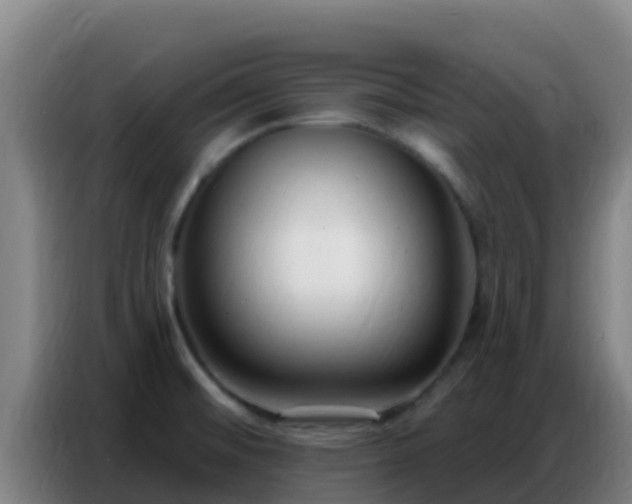X0000086801476200704201853