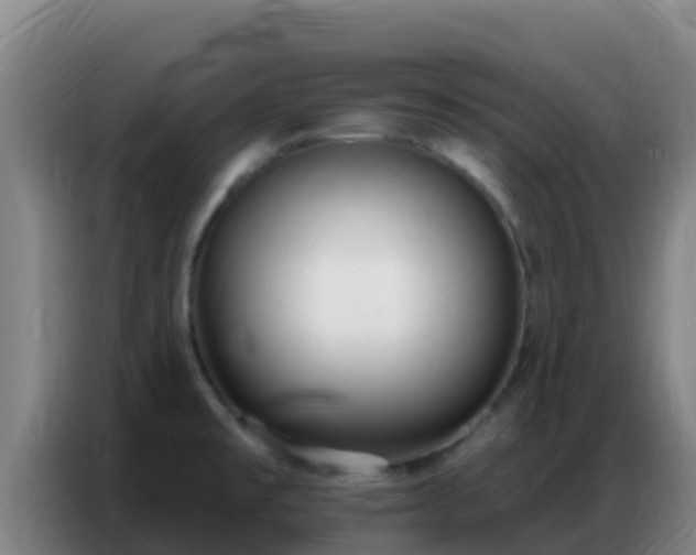 X0000086801477200704201853