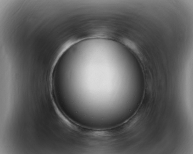 X0000086801479200704201853