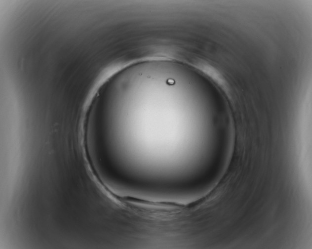 X0000086801480200704201853