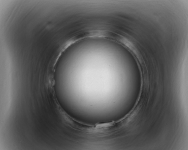 X0000086801481200704201853