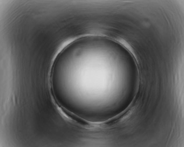 X0000086801485200704201853
