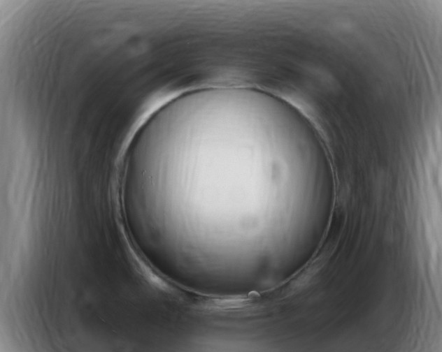 X0000086801486200704201853