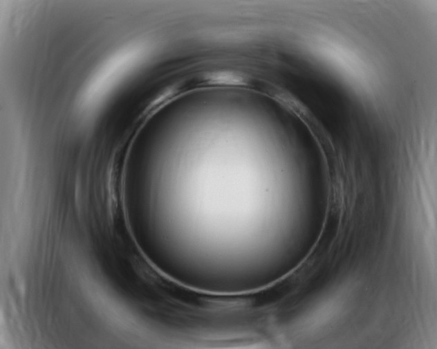 X0000086801487200704201853