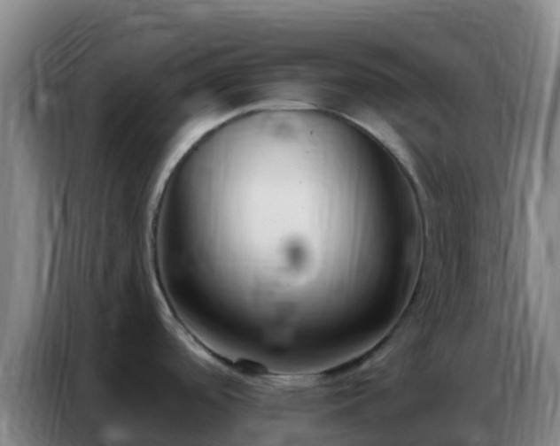 X0000086801488200704201853