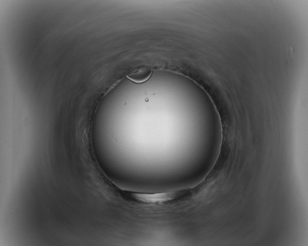 X0000086801489200704201853